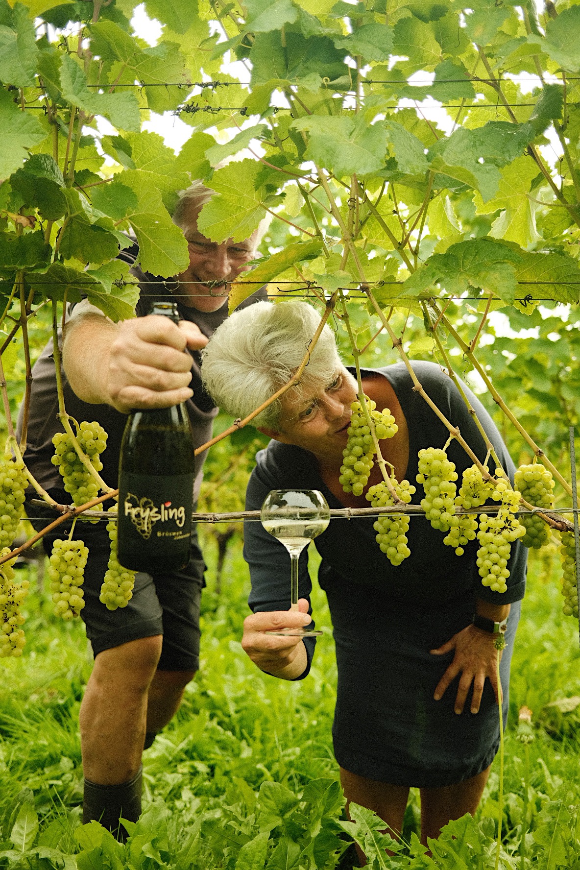 3ab03641 2eba 412c Bb16 0f5e9b5485f1