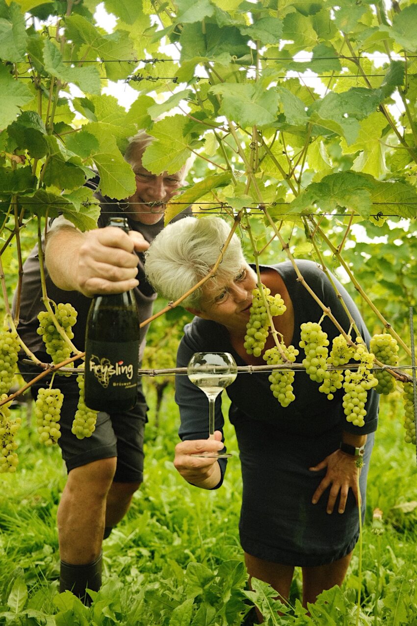 3ab03641 2eba 412c Bb16 0f5e9b5485f1