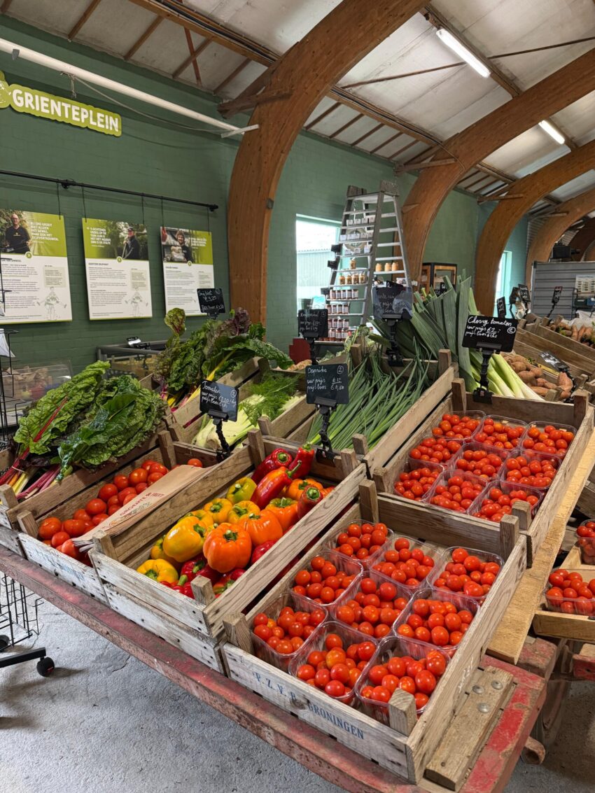 Whatsapp Image 2026 01 25 At 19.05.59 (1)